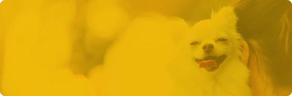 About Us 会社概要とわたしたちの想い read more